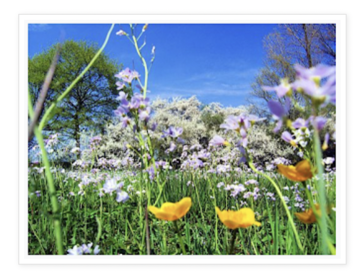 slideshow